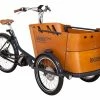 Babboe Curve Mountain 400Wh 2 Babboe Curve Mountain 400Wh -E-Bikes Verkäufe 2023 e bikes babboe curve mountain 500wh 126311 1 1