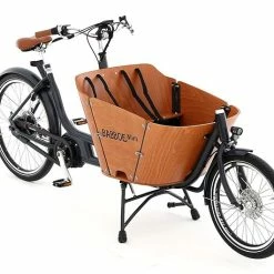Babboe Mini Mountain 500Wh