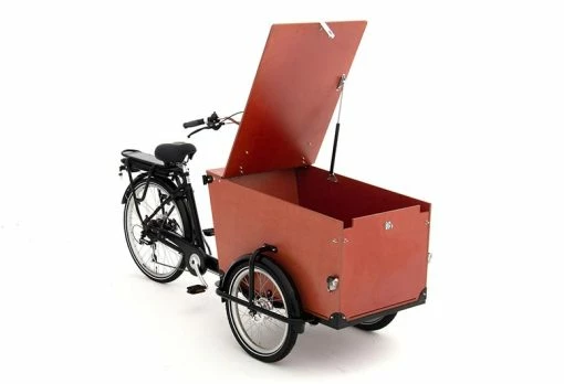 Babboe Trike-E - 265l, 450Wh 5 Babboe Trike-E - 265l, 450Wh -E-Bikes Verkäufe 2023 e bikes babboe trike e 265l 450wh 135570 1