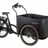 BBF ECargorider3.1 Eco -E-Bikes Verkäufe 2023 e bikes bbf ecargorider3 1 eco 138400 1
