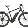 Diamant Zing+ -E-Bikes Verkäufe 2023 e bikes diamant zing 135250 1