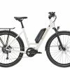 Diamant Zing+ -E-Bikes Verkäufe 2023 e bikes diamant zing 6913525 ff1 1
