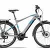 RAYMON CrossRay E 6.0 -E-Bikes Verkäufe 2023 e bikes raymon crossray e 6 0 137020 1