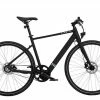 Tenways CGO600 -E-Bikes Verkäufe 2023 e bikes tenways cgo600 137450 1