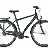 Raleigh Chester 7 -E-Bikes Verkäufe 2023 fahrraeder city raleigh chester 7 139941 1