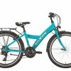 Noxon Rocket ND -E-Bikes Verkäufe 2023 fahrraeder kinder noxon rocket nd 133680 1